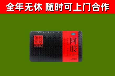 晋江回收阿胶